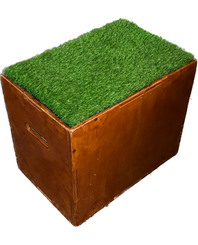Wooden Pylo Box